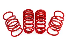 Roll-Control Lowering Springs - MK8 Golf R image 1