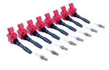 Ignition Coil & Spark Plug Kit (4.0T EA825 8-cylinder engines) image 15