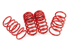 Roll-Control Lowering Springs for Volkswagen GTI image 1