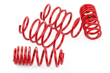 Roll-Control Lowering Springs for Volkswagen Jetta image 1